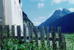 alte schule-6